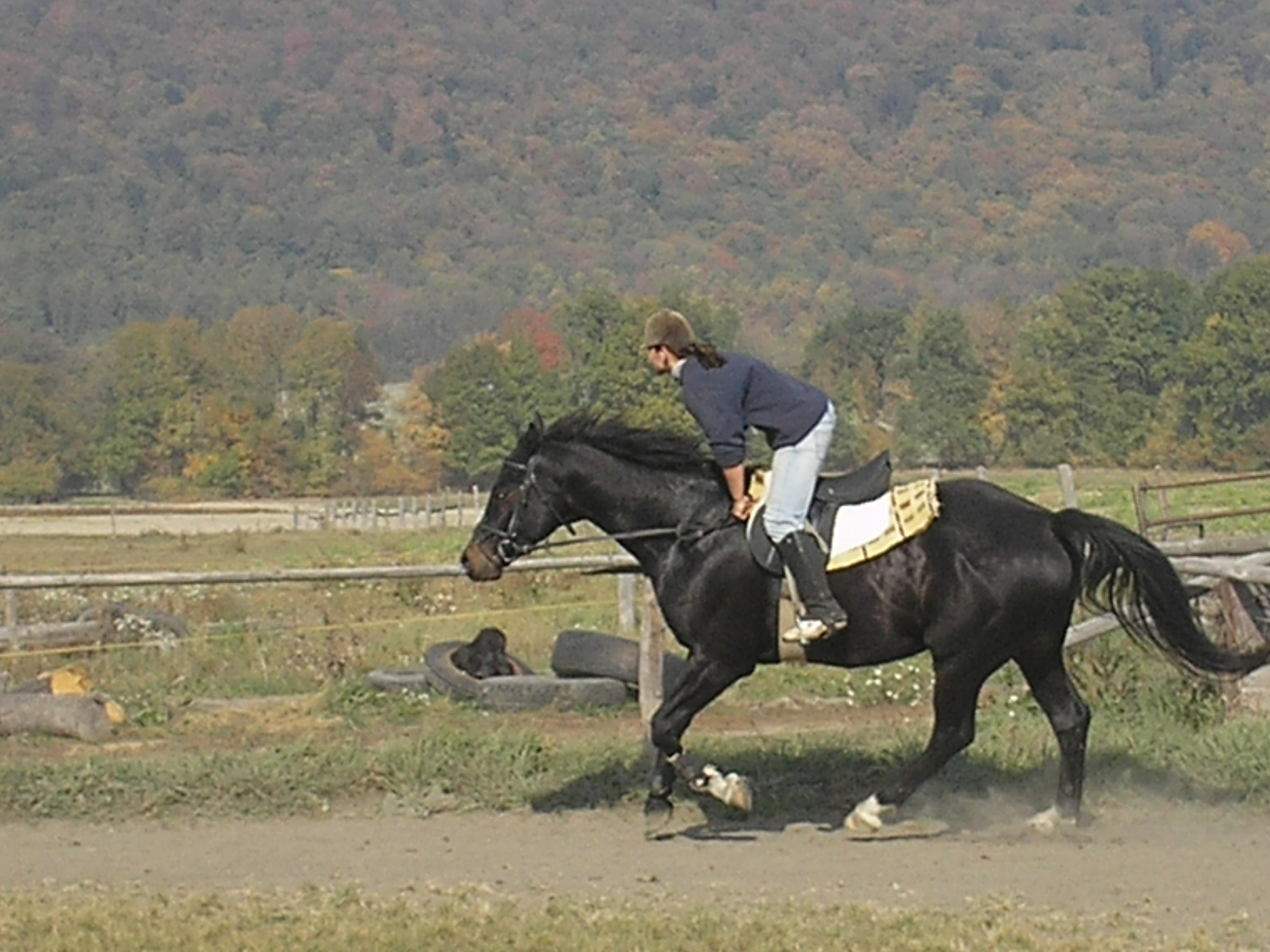 Daneček tryská.jpg