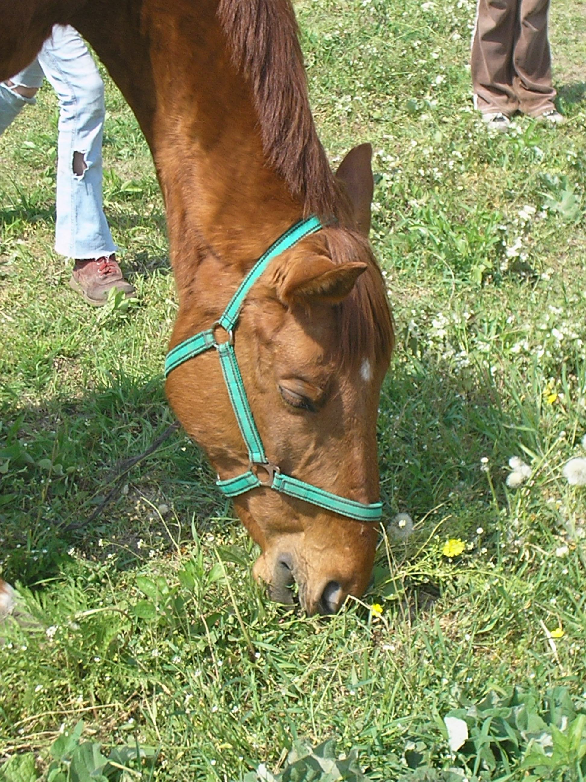 Beáta osek 6.jpg
